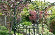 арки в саду фото